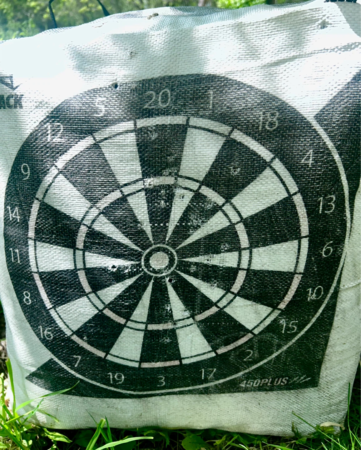 BlackOut X-Treme 450 FPS Target - photo 2
