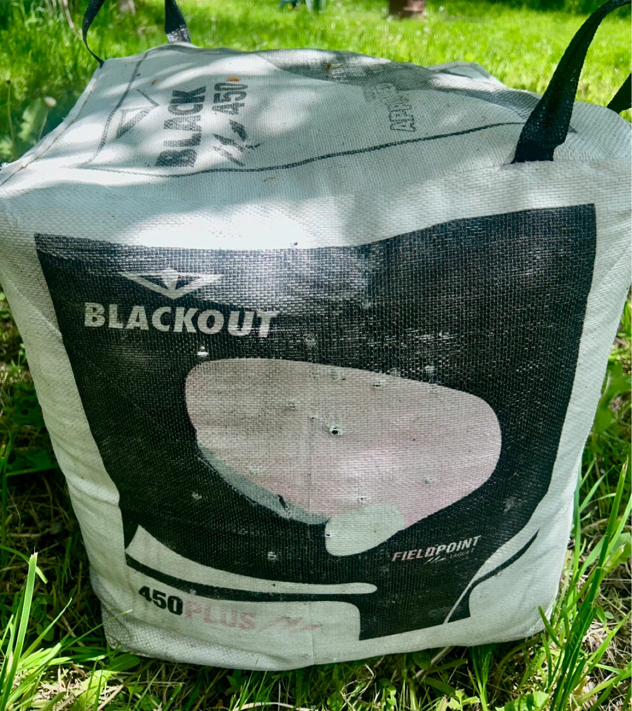 BlackOut X-Treme 450 FPS Target - photo 5