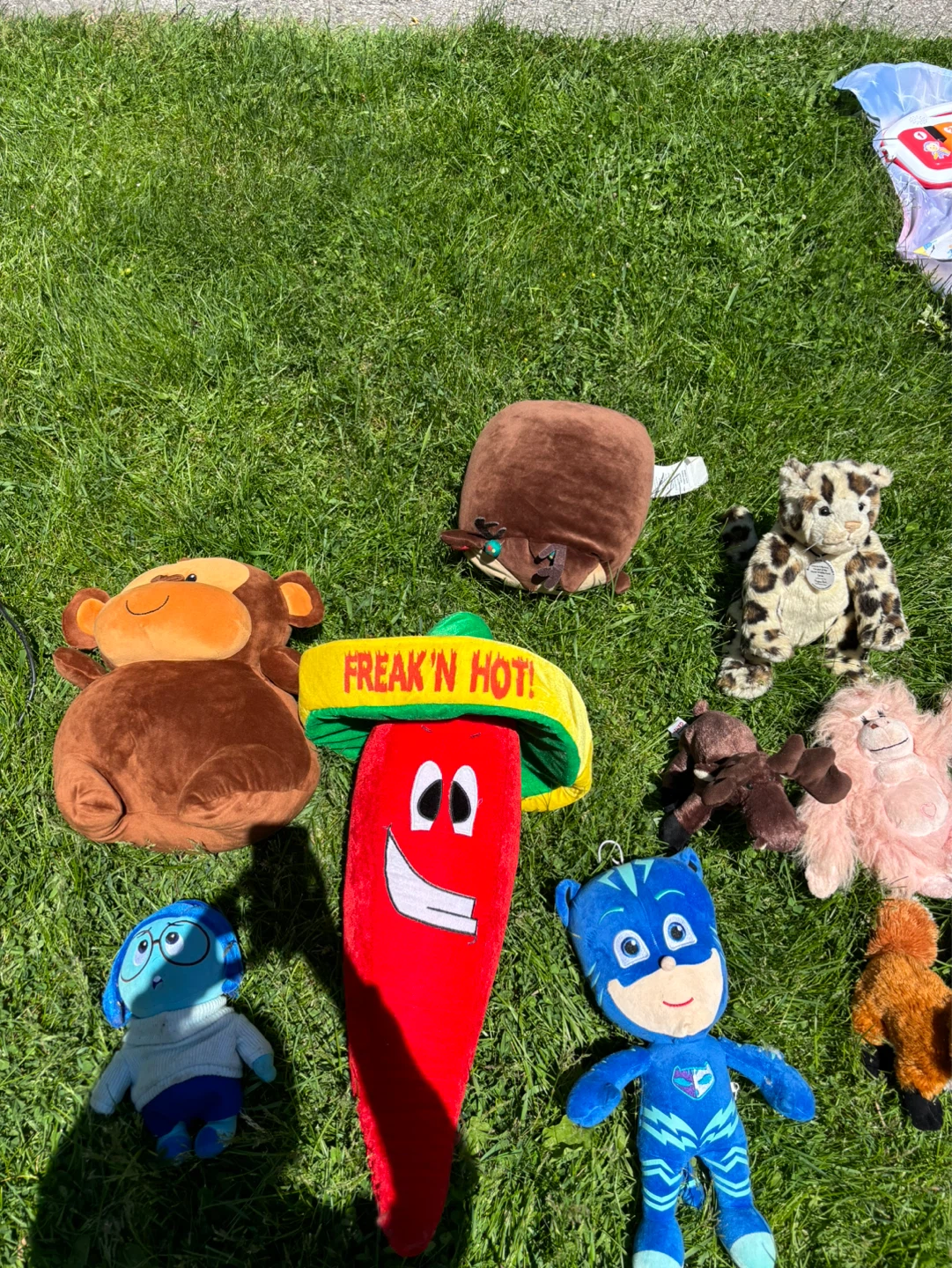 Stuffed toy lot!