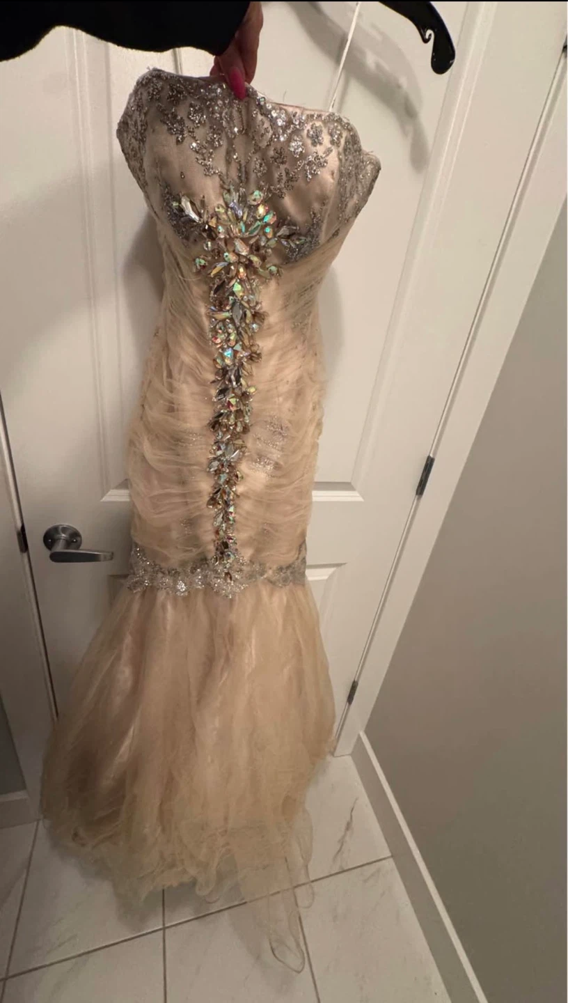 Dresses | evening gown | engagement dress | mermaid