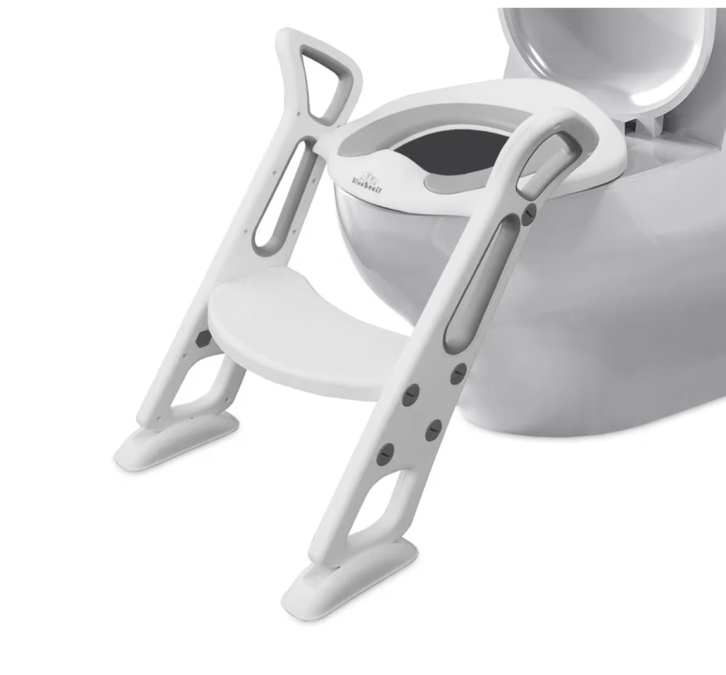 Potty training toilet seat with ladder