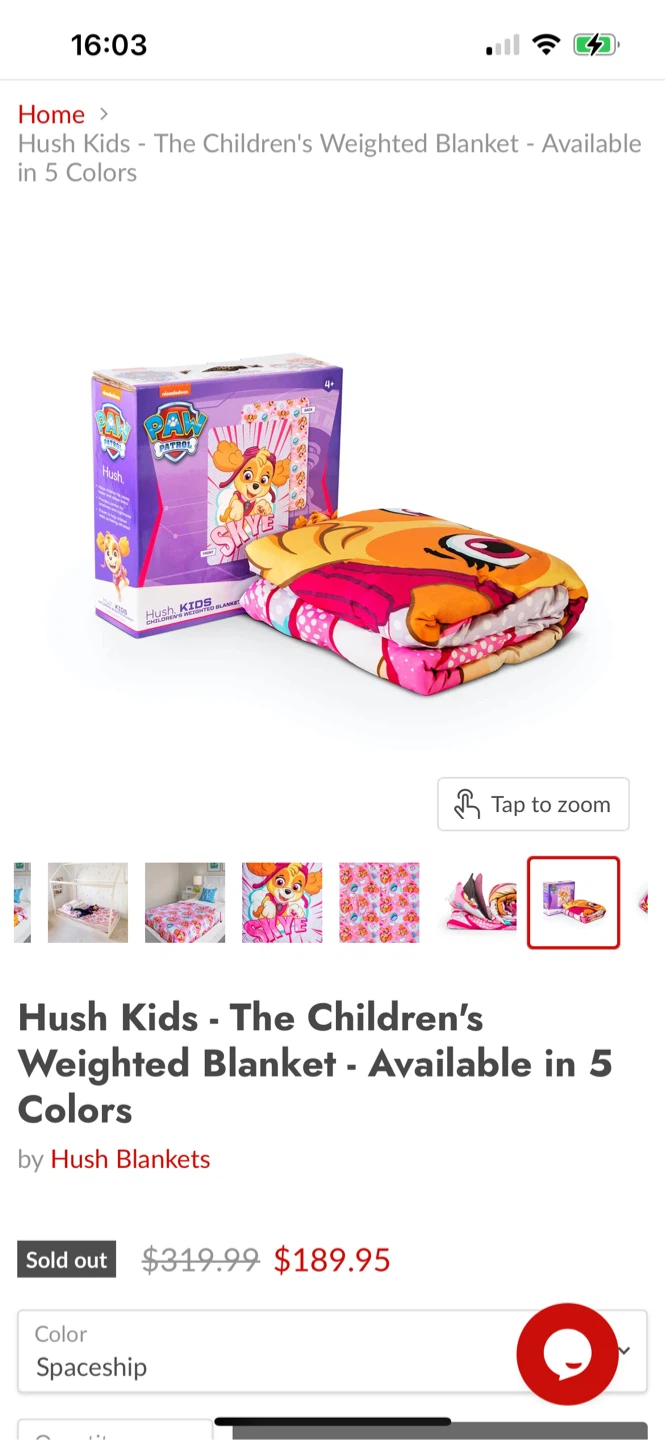 Retails $200 ! New Paw Patrol Hush Kids Weighted Blanket - photo 2