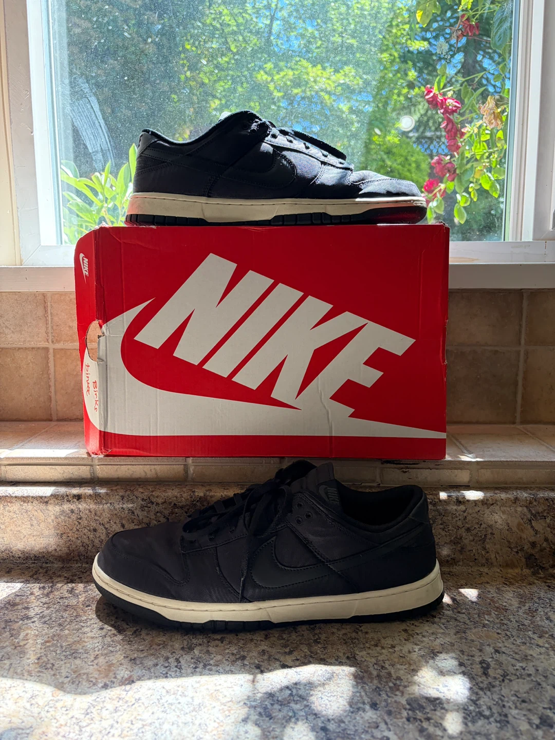 Nike Dunk Low Men's Shoes