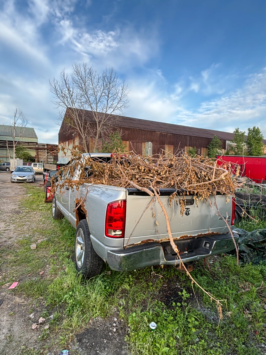 Dodge Ram 1500 Plow Truck - photo 2