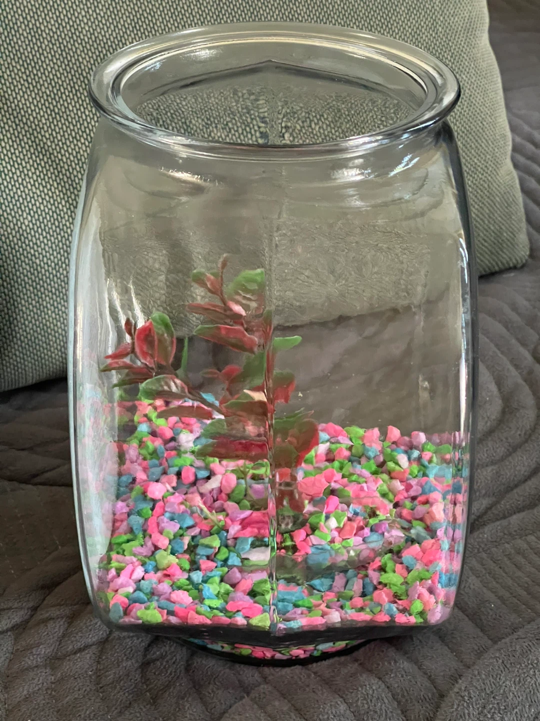 Anchor Premium Fishbowl 1 Gallon (Glass) - photo 3