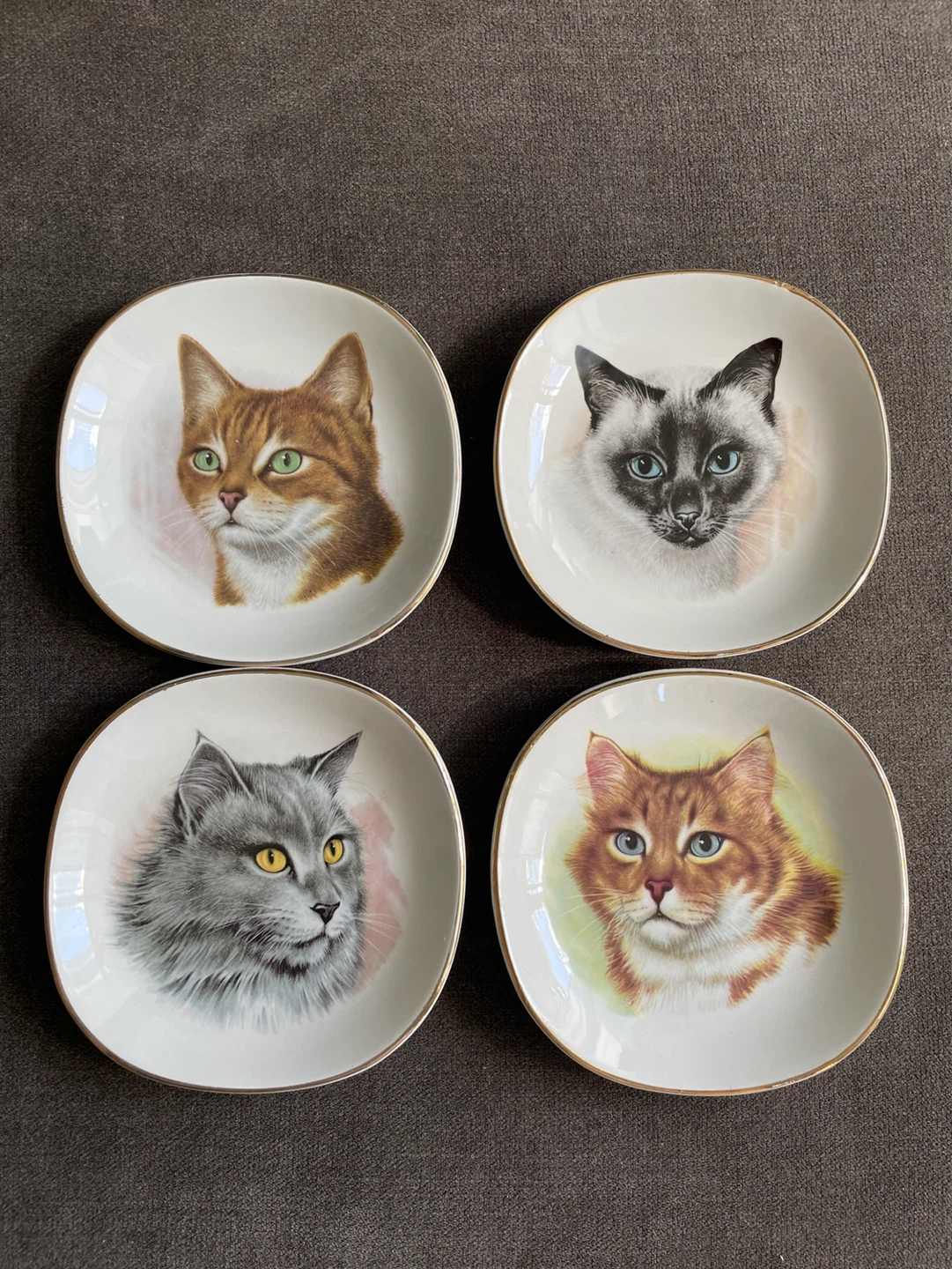 Wetherby Royal Falcon Ware Cat Plates Set of 4