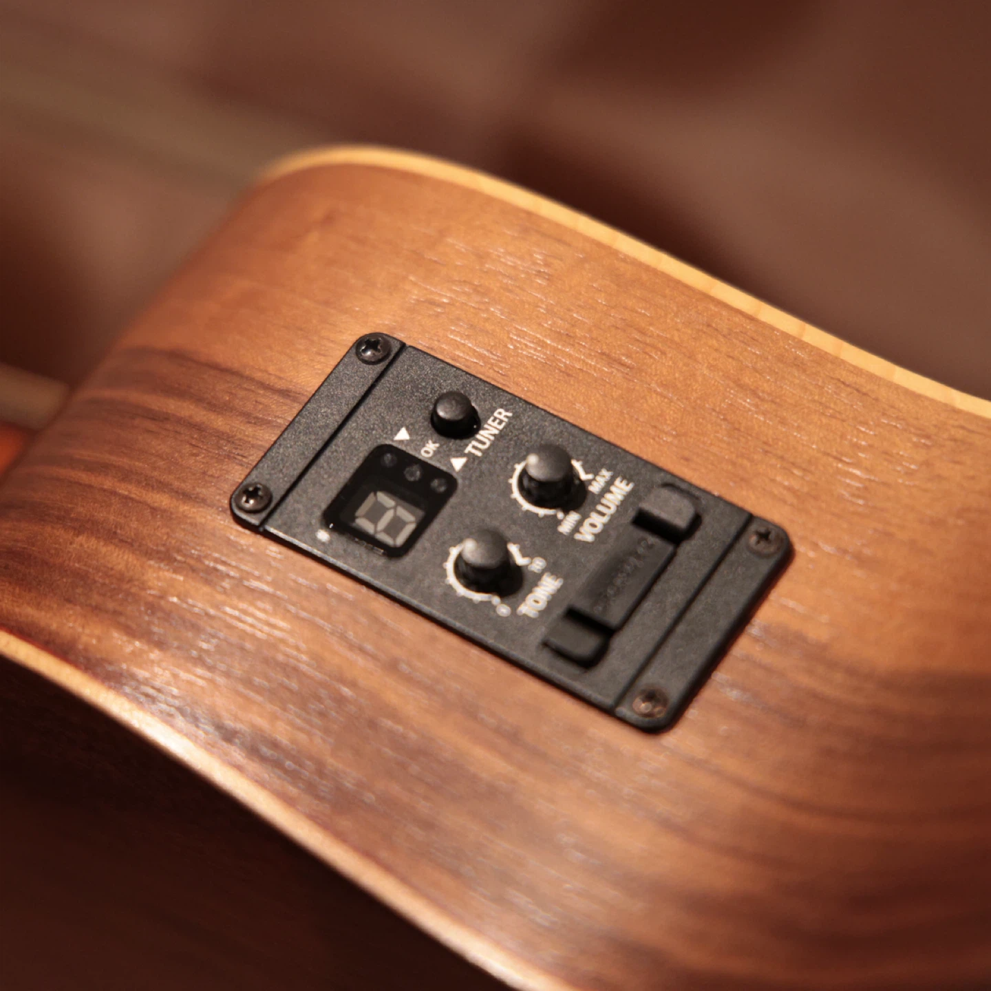 Taylor GSmini Acoustic Guitar with Case - photo 5