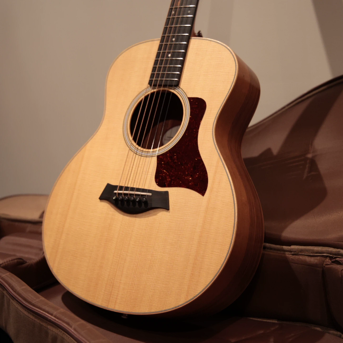 Taylor GSmini Acoustic Guitar with Case - photo 4