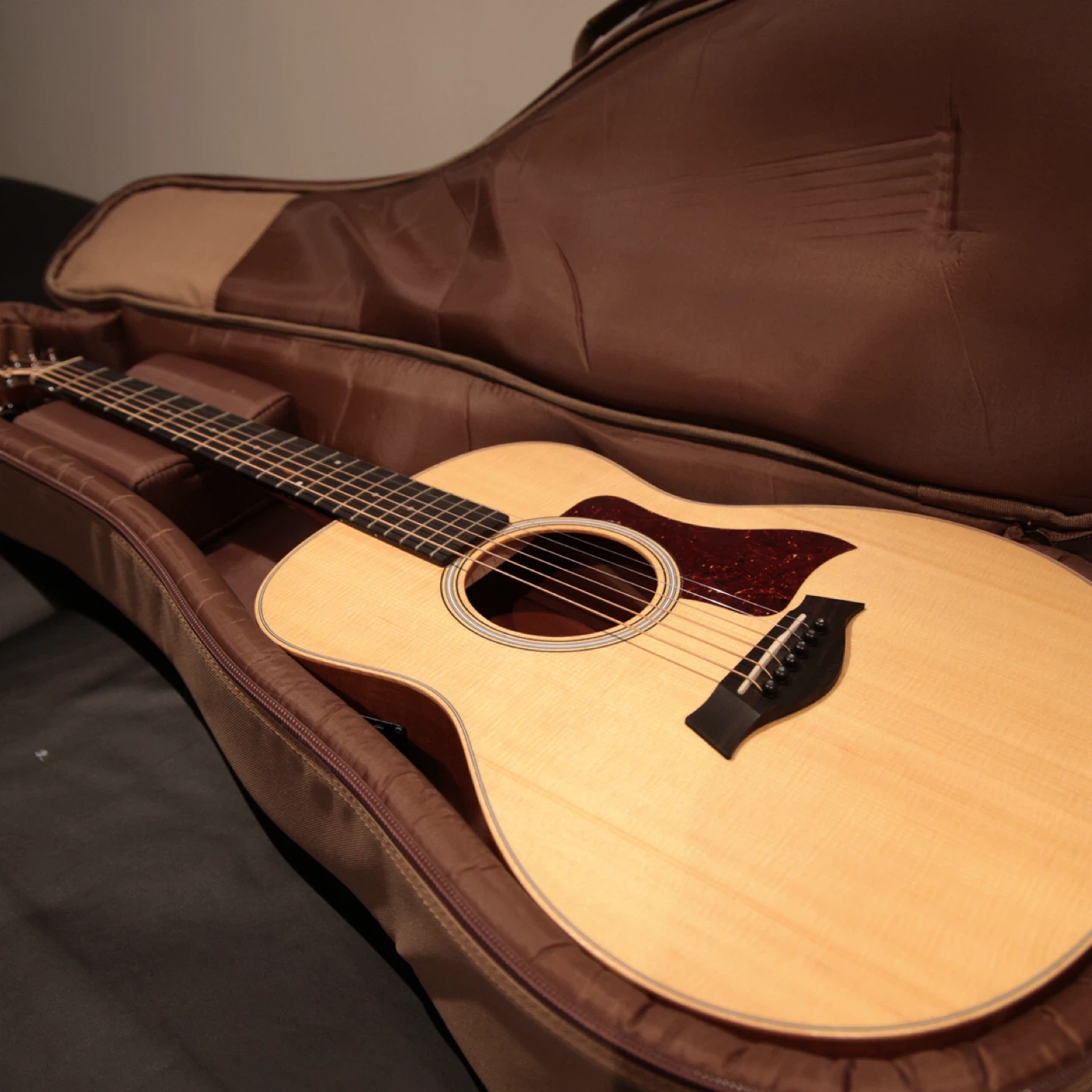 Taylor GSmini Acoustic Guitar with Case