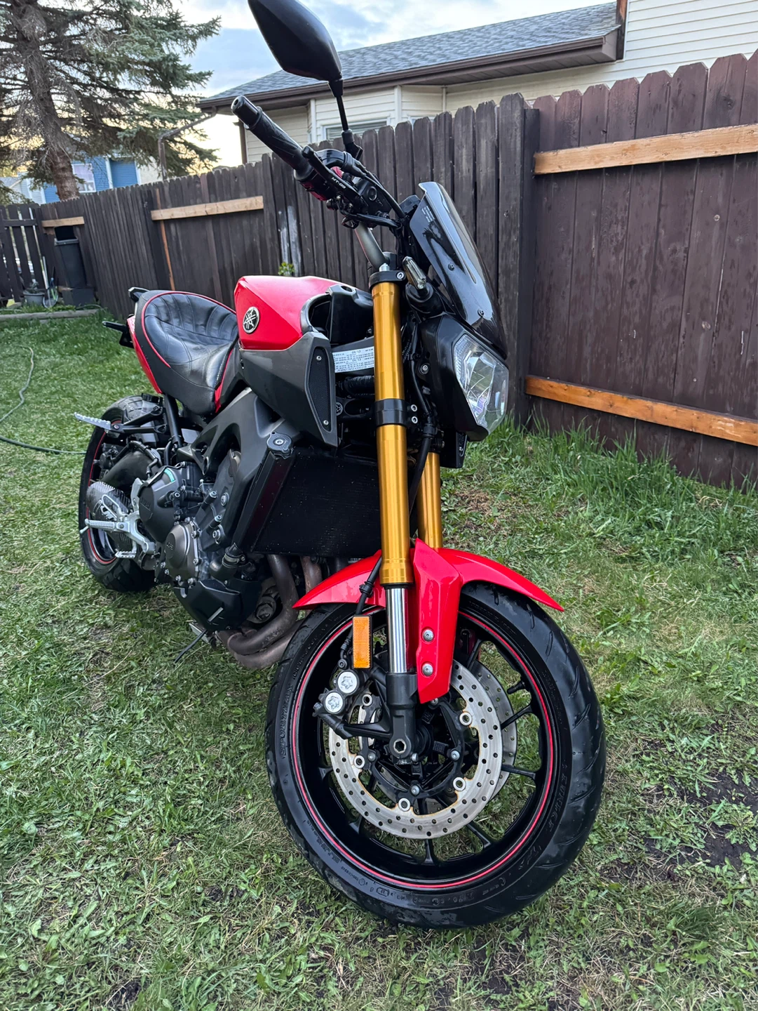 Red 2014 Yamaha FZ-09 | MT-09 - photo 3