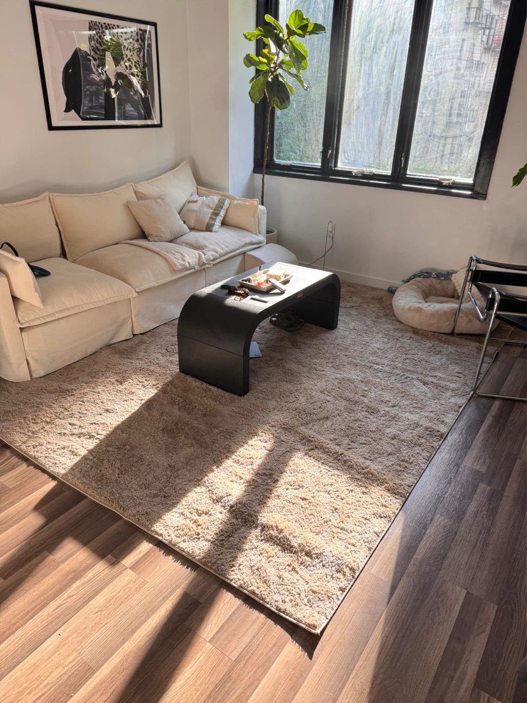 8' x 10' Taupe Solid Shag Rug
