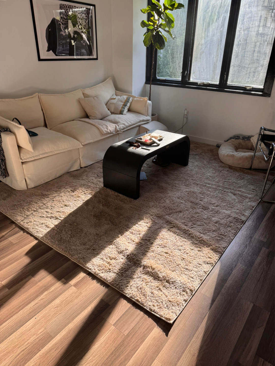 8' x 10' Taupe Solid Shag Rug - photo 2