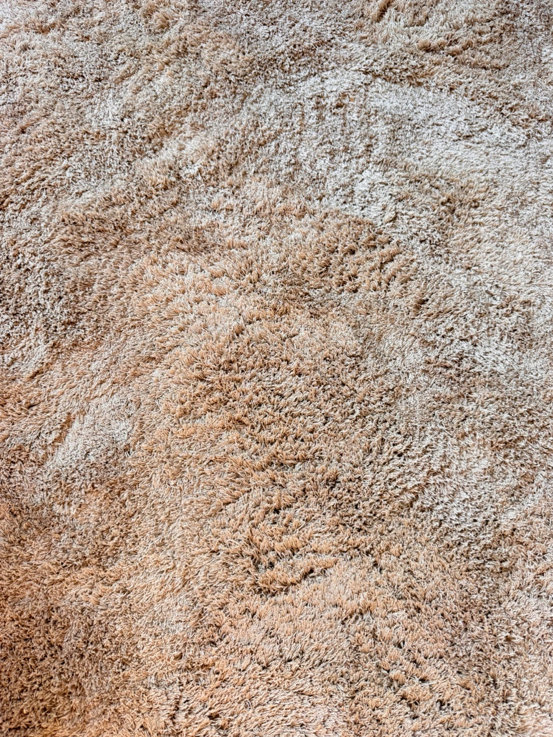 8' x 10' Taupe Solid Shag Rug - photo 3