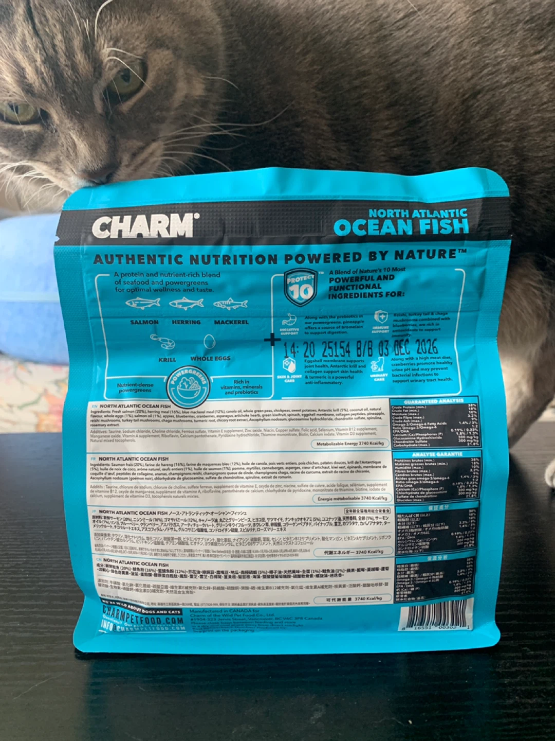 ‼️MUST-GO‼️Charm North Atlantic Ocean Fish Dry Cat Food - photo 2