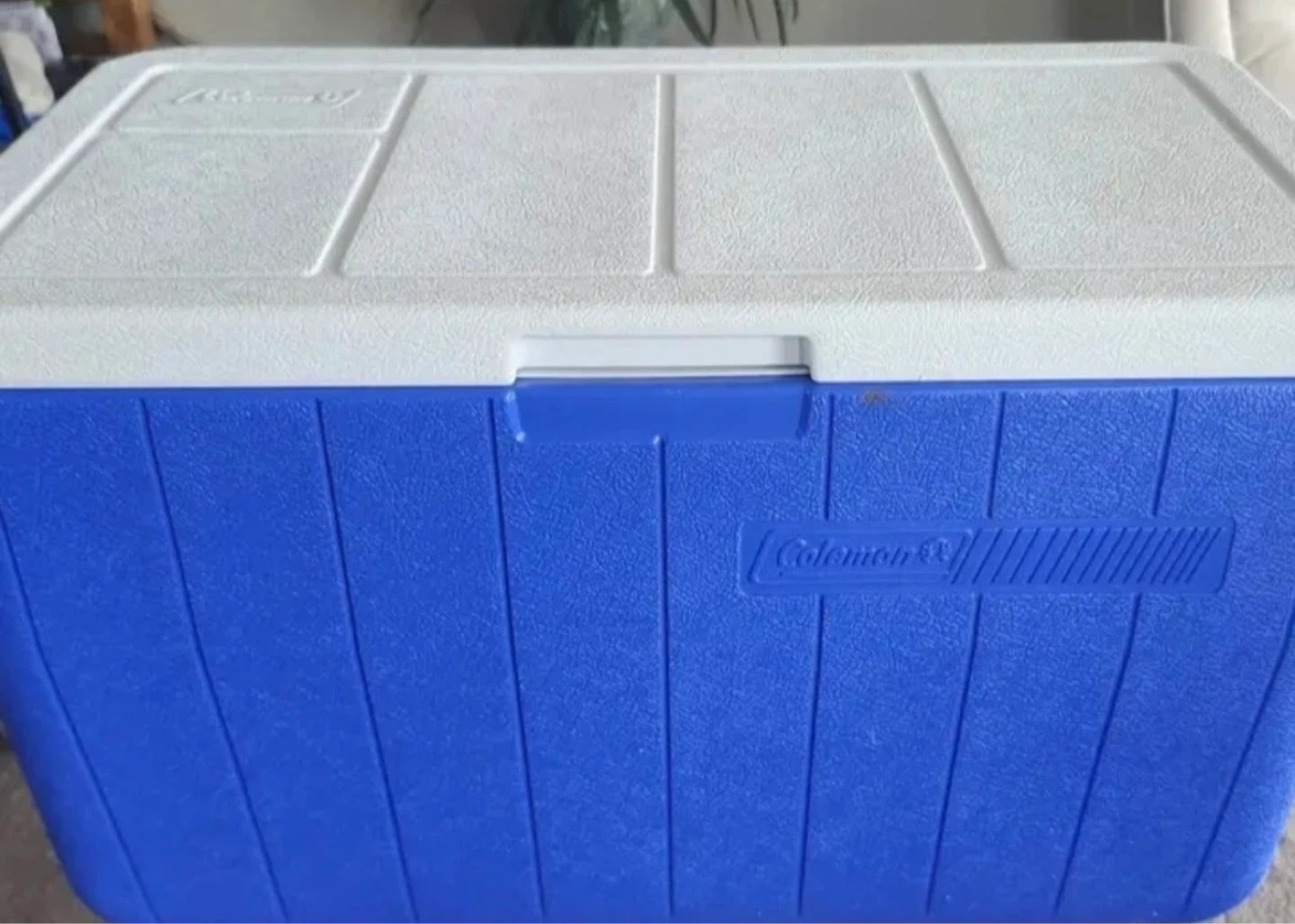 Coleman Cooler - photo 3