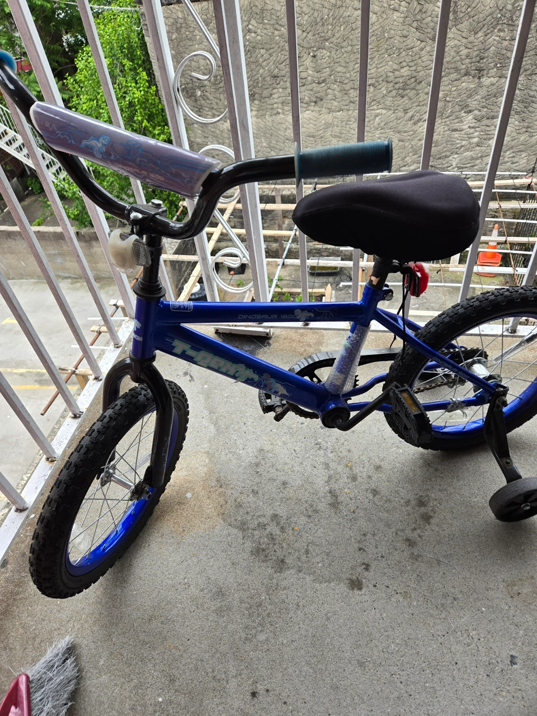 Blue Kids BMX Bike with Training Wheels
