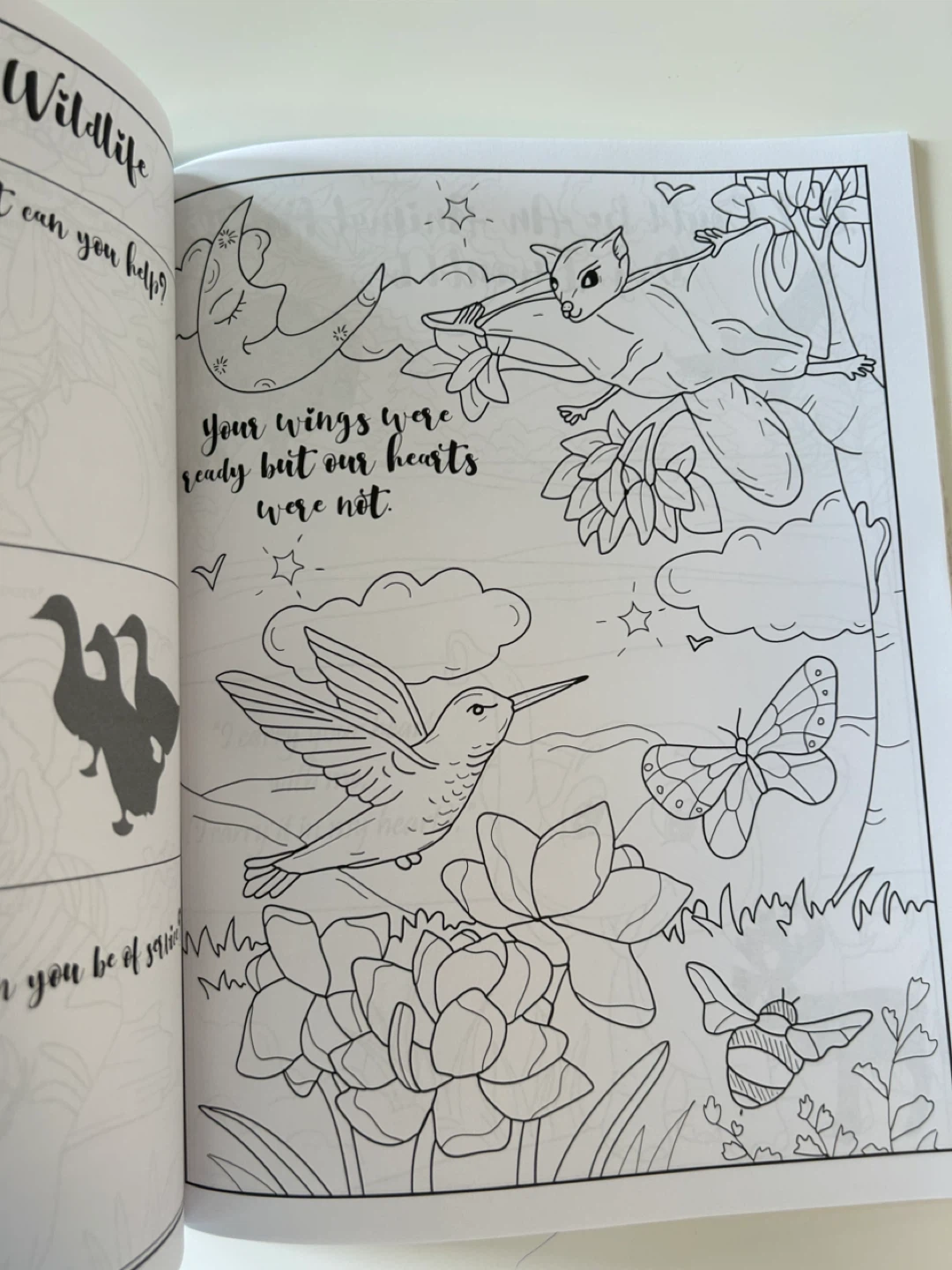 Adult Coloring Book - 60 Stress Relieving Animals Designs - photo 4