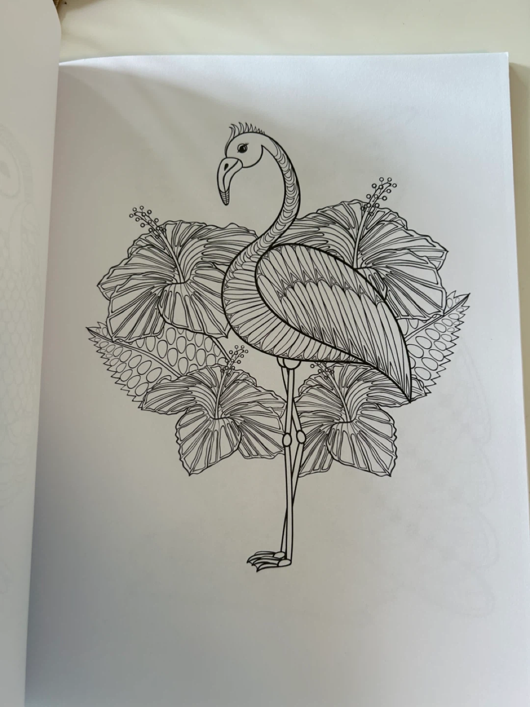 Adult Coloring Book - 60 Stress Relieving Animals Designs - photo 3