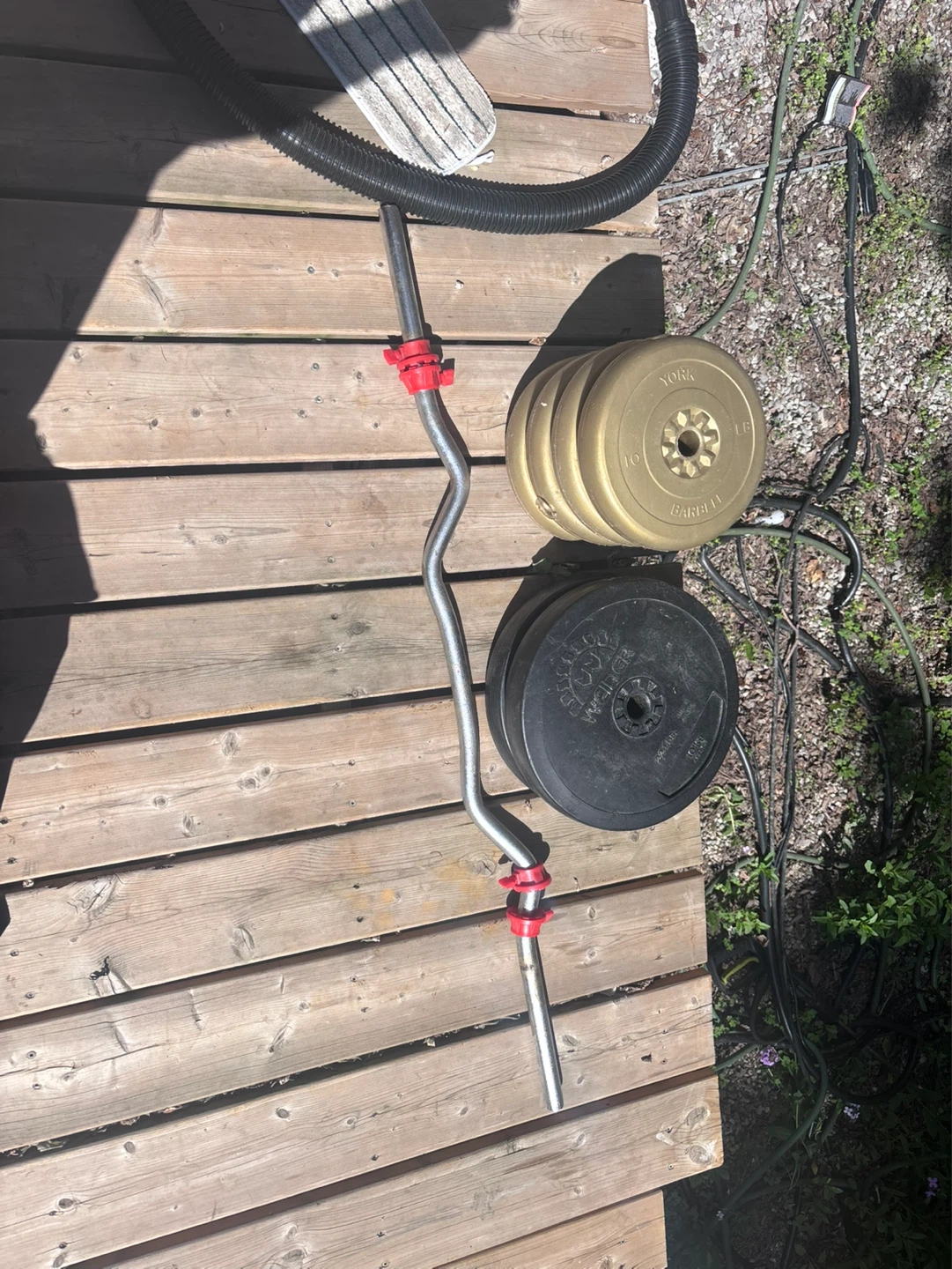 Curl Barbell with York Weight Plates