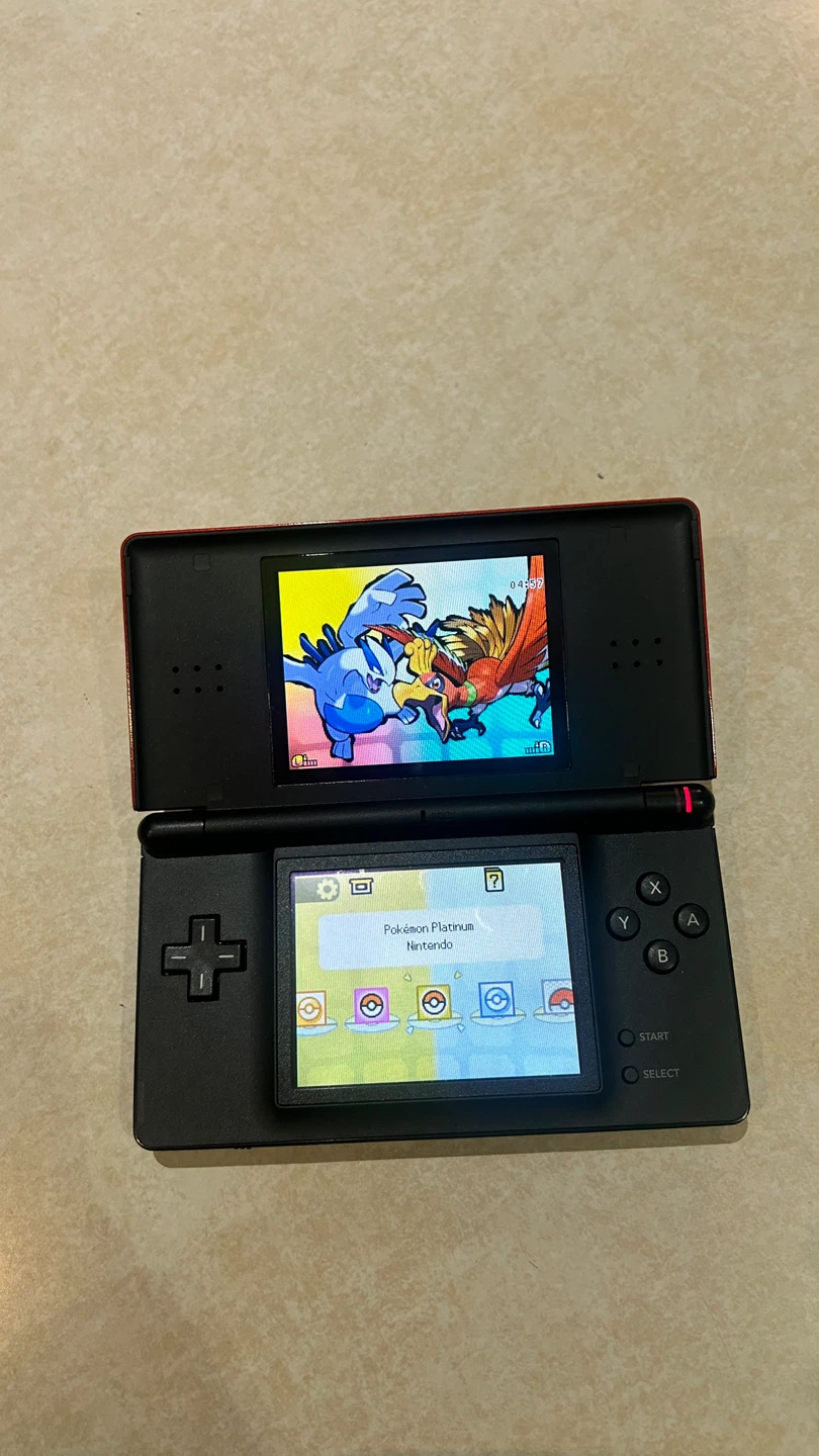 Modded Nintendo ds lite - photo 2