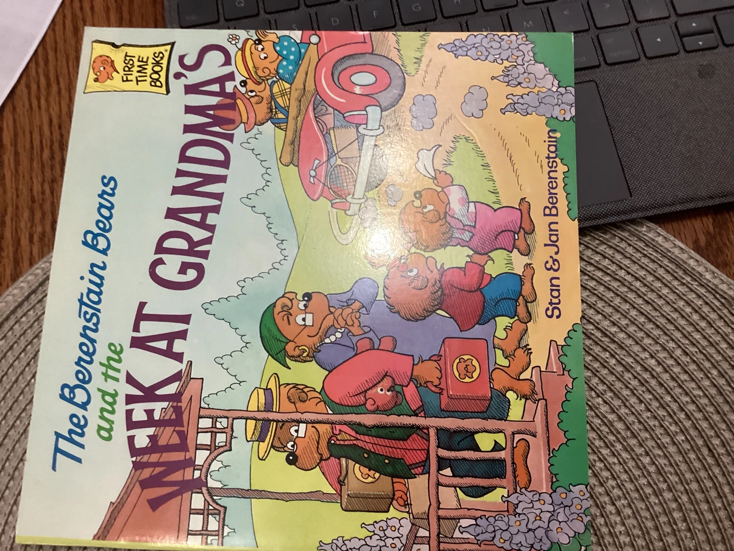Bernstein Bears 10 Books