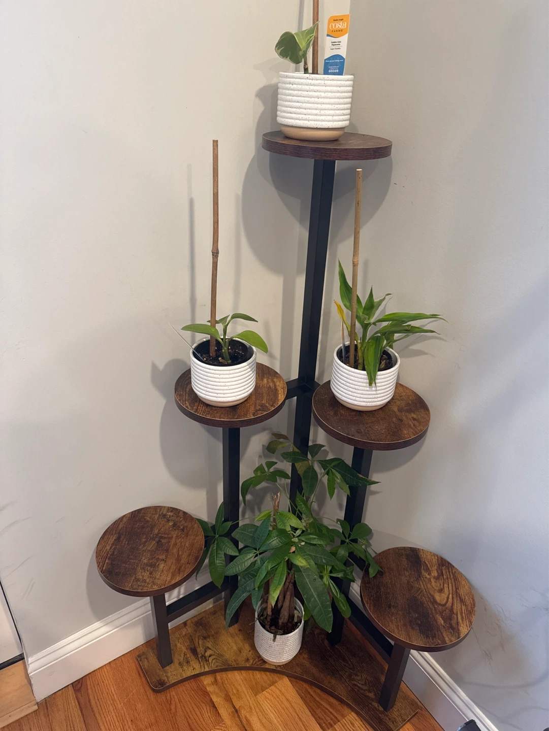 Corner Plant Stand Display Shelf - photo 2