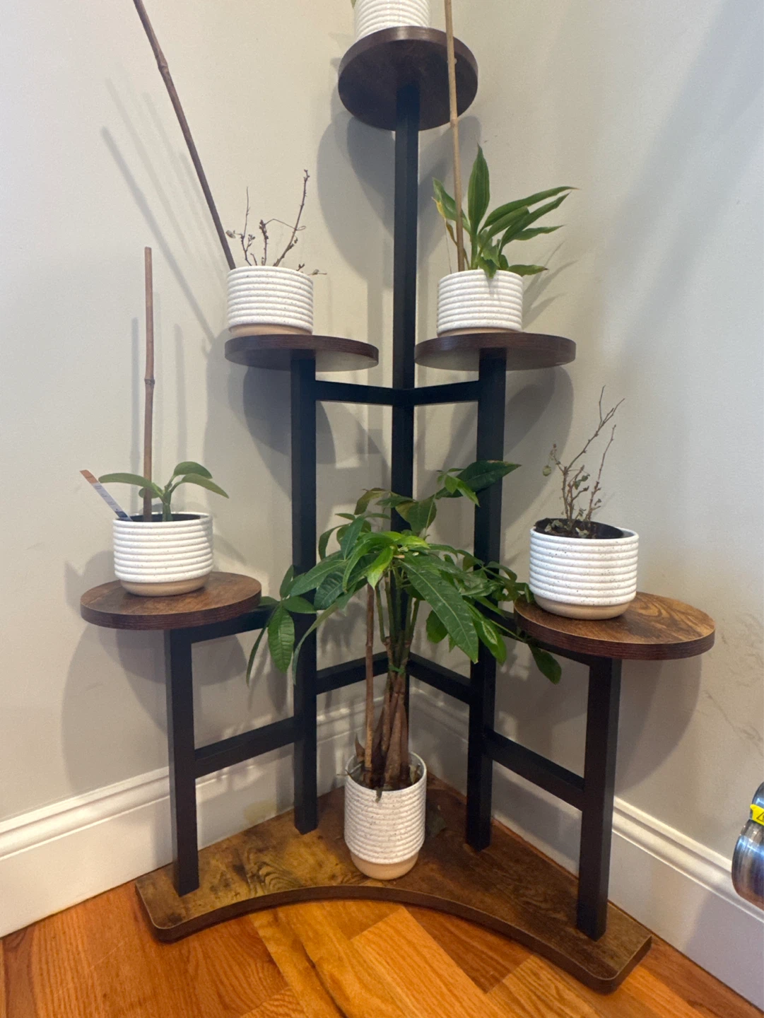 Corner Plant Stand Display Shelf - photo 3