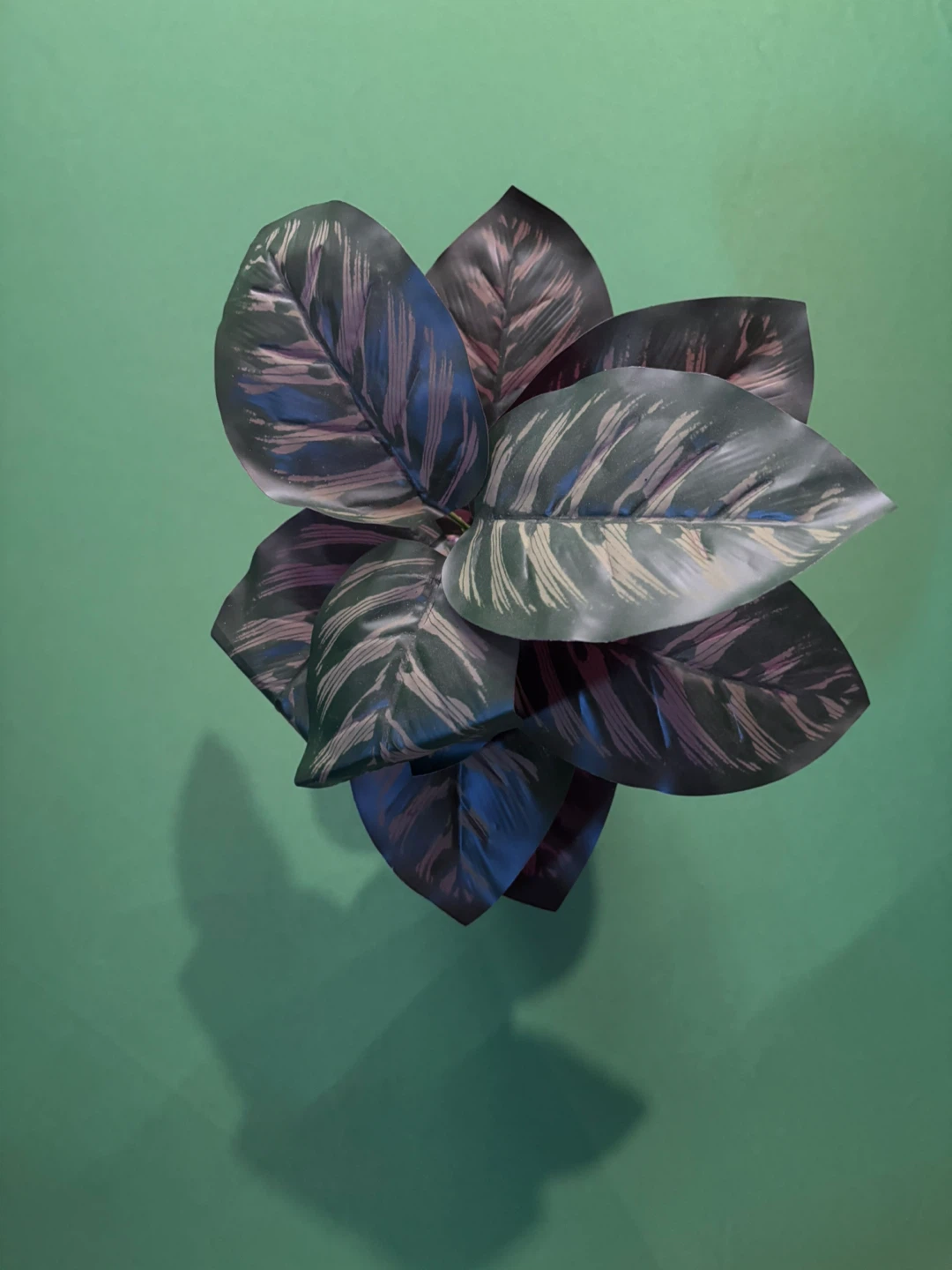 Artificial Calathea Plant in Grey Pot