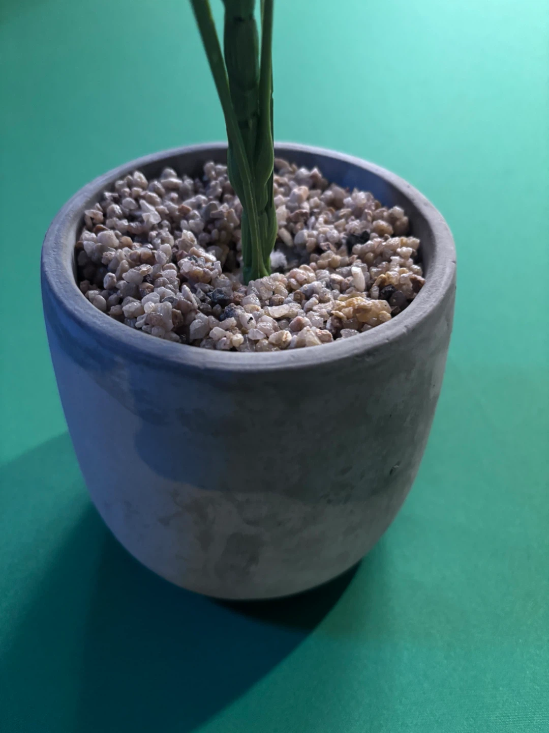 Artificial Calathea Plant in Grey Pot - photo 2
