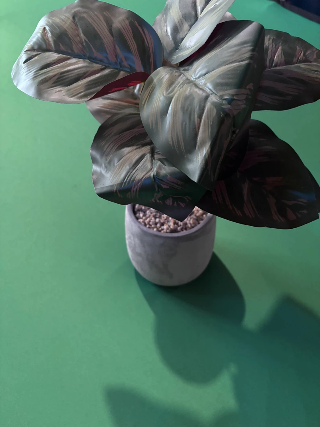 Artificial Calathea Plant in Grey Pot - photo 3