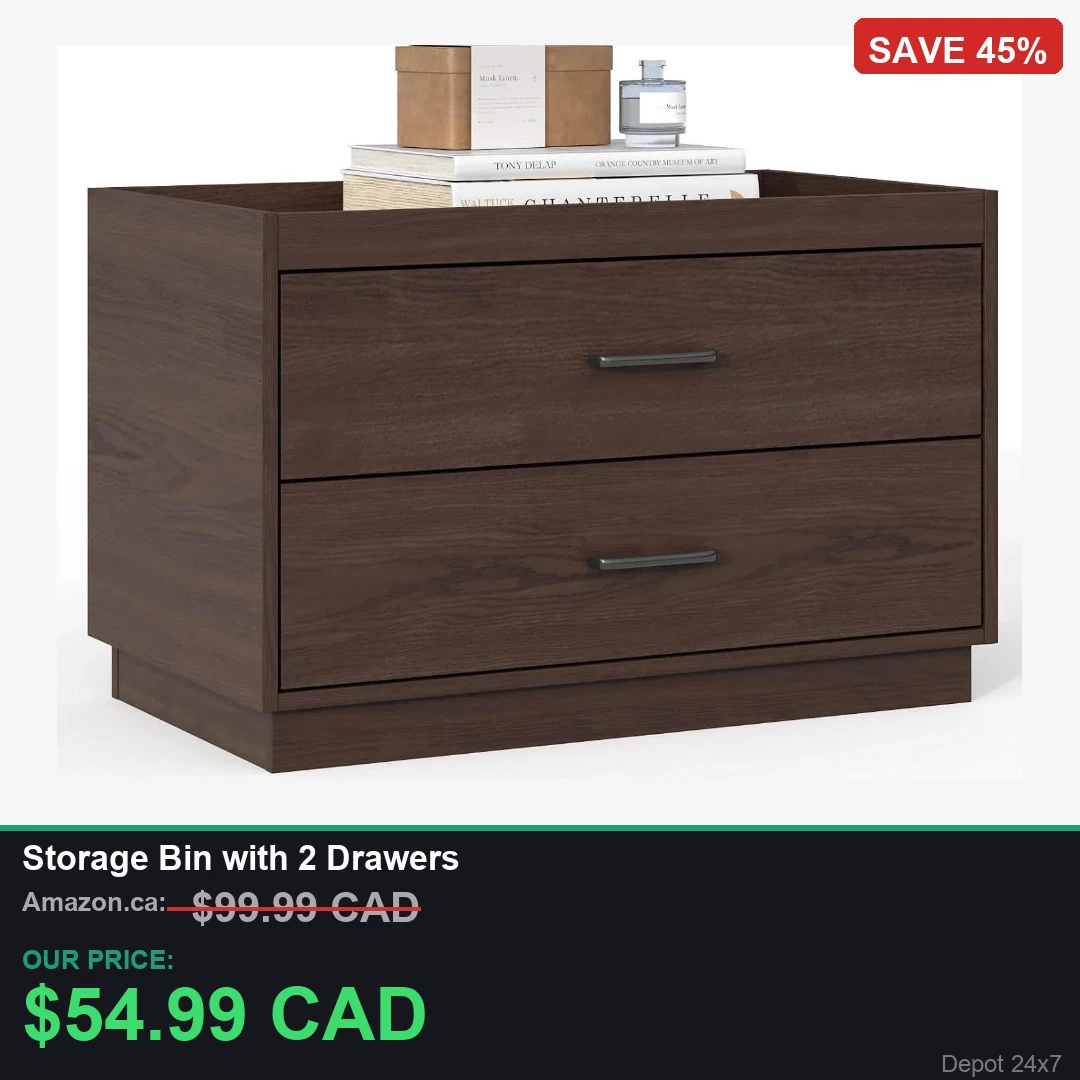 Storage Bin with 2 Drawers - photo 4