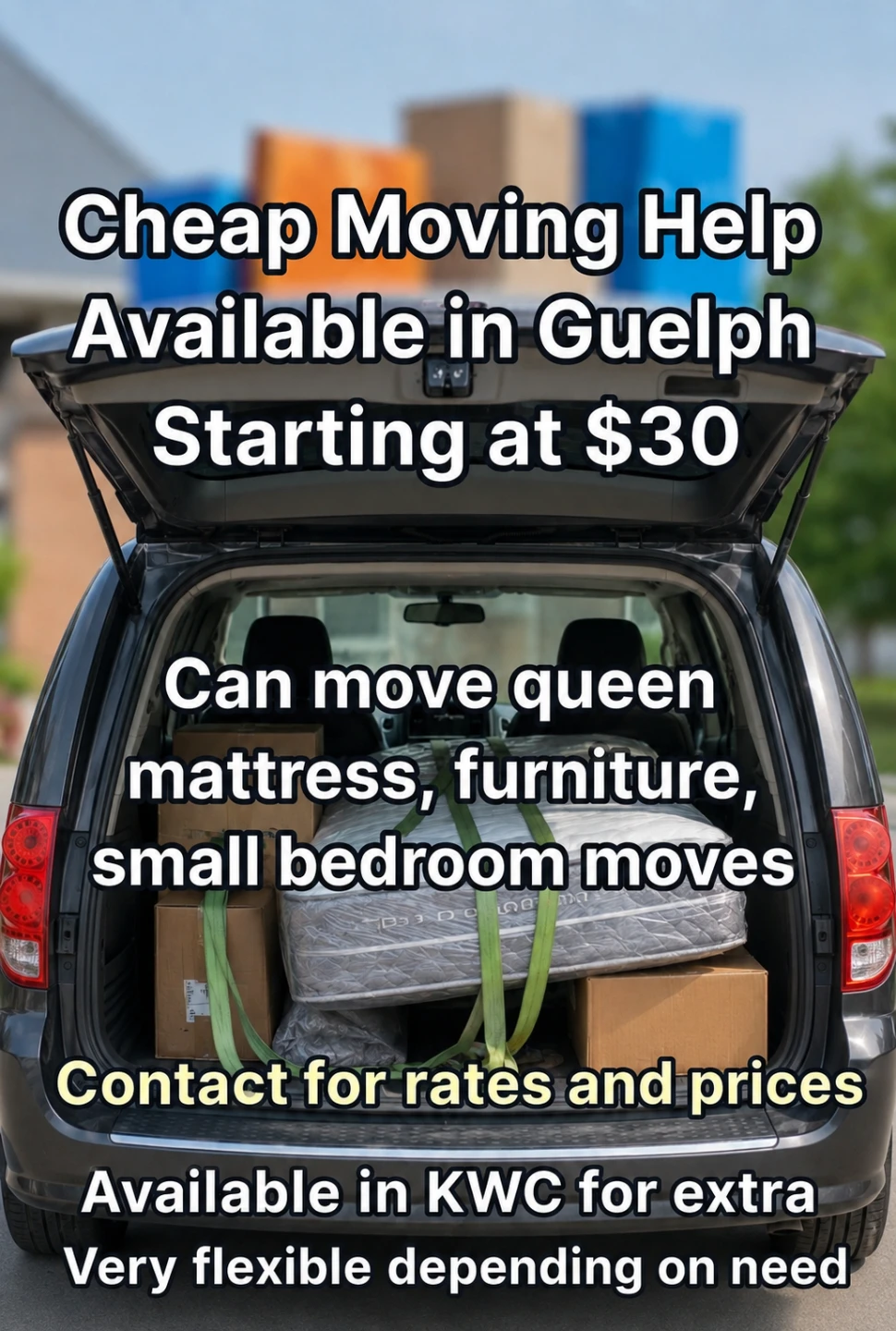 Sealy Queen Mattress