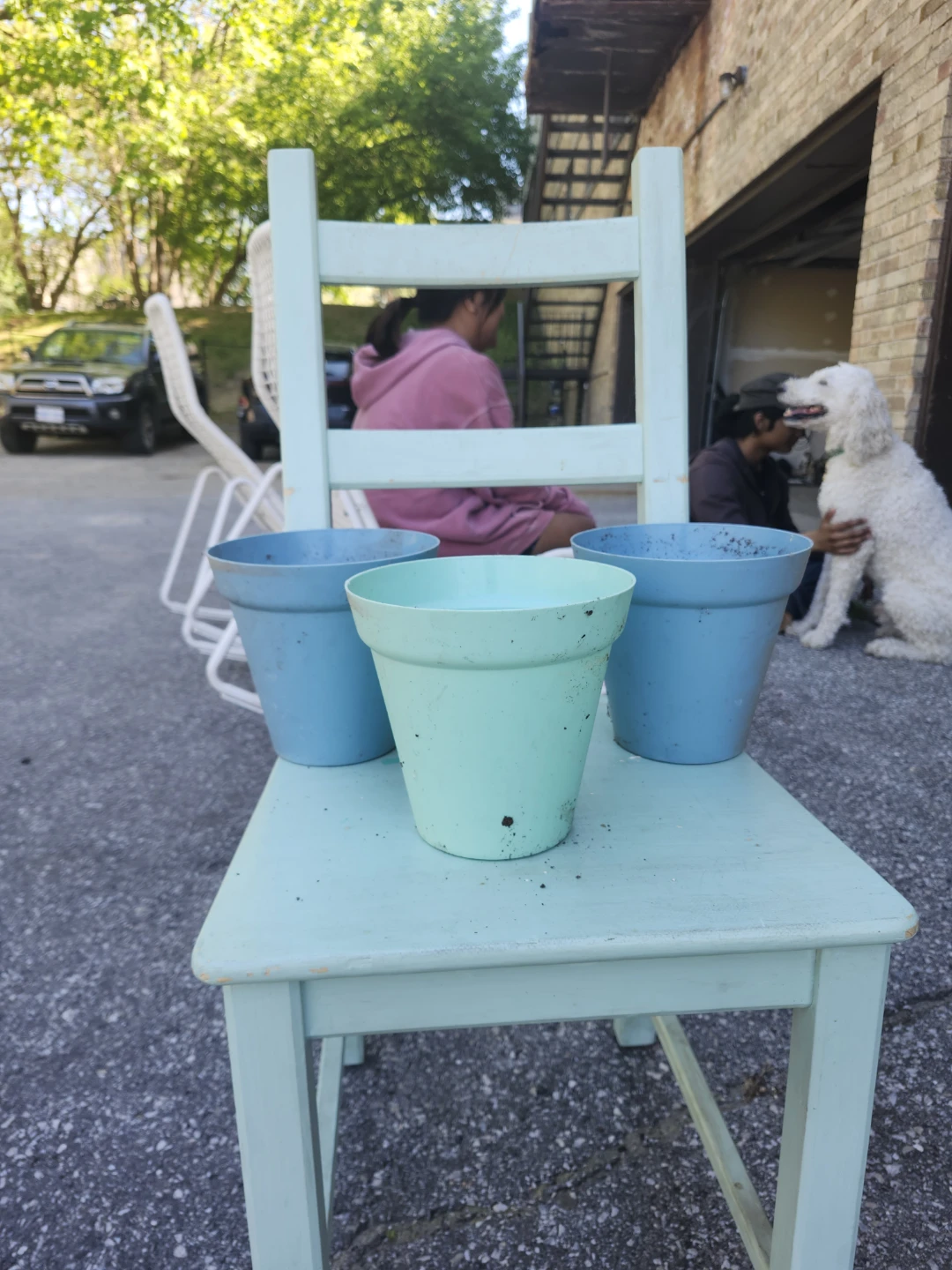 Assorted Coloured Plastic Planters (Set of 3)
