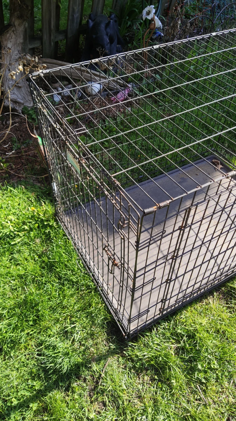 Wire Dog Crate with Tray extra large