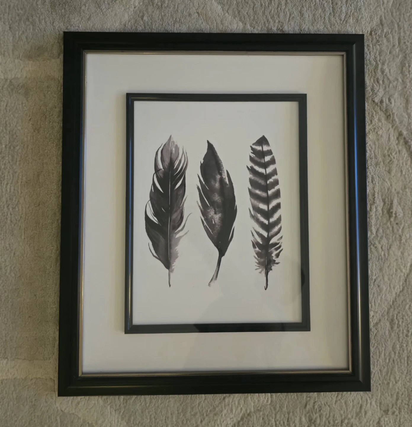 Framed Feather Wall Art
