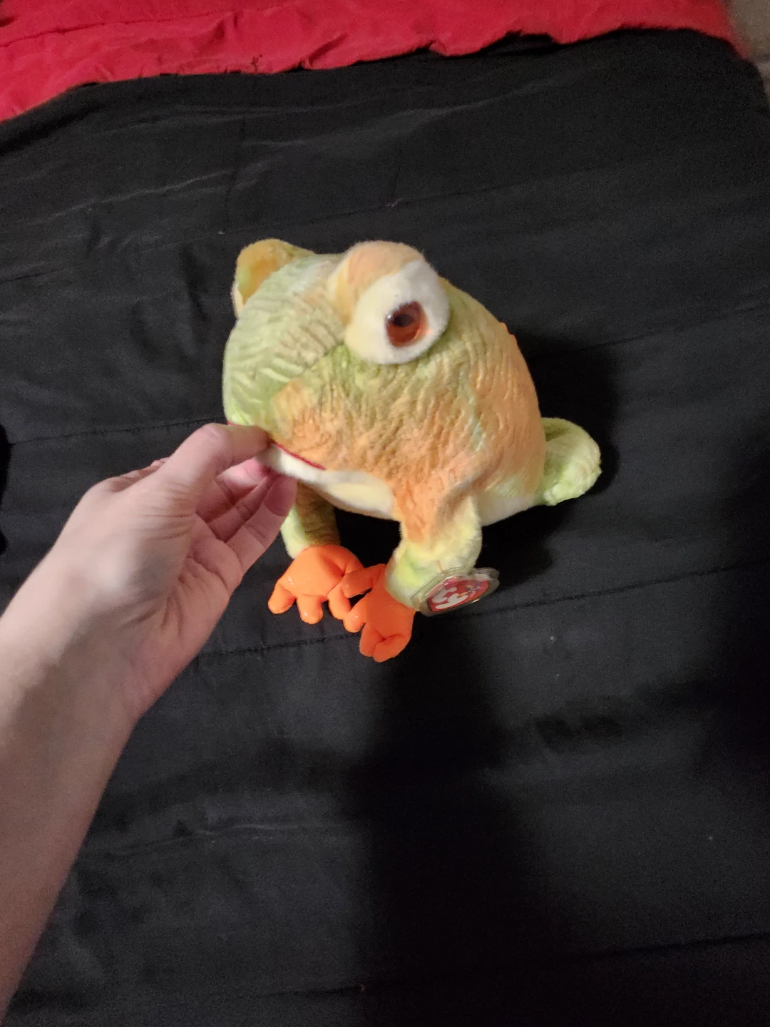 $10 ty frog