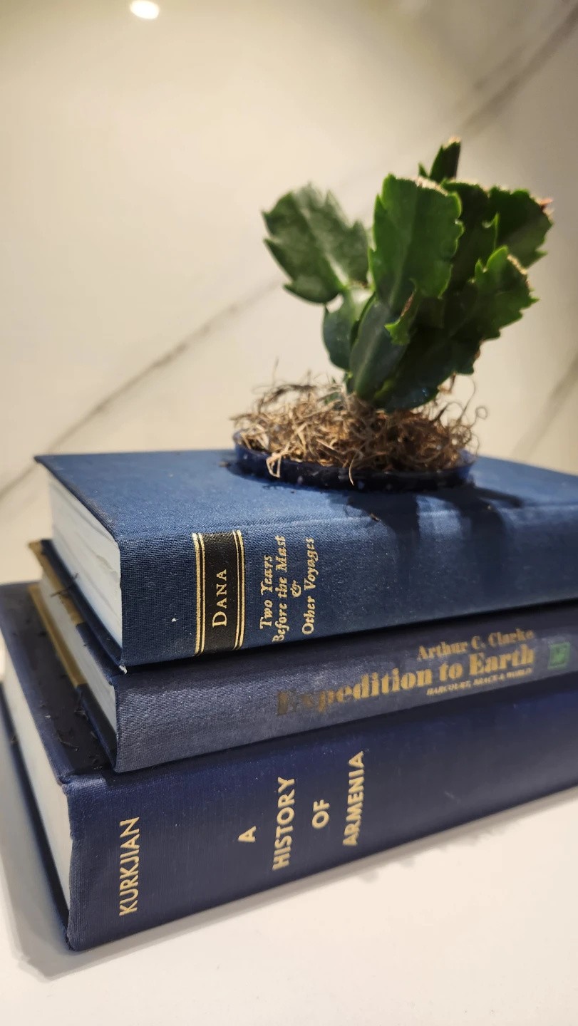 Upcycled vintage navy blue book planter with plant - photo 3