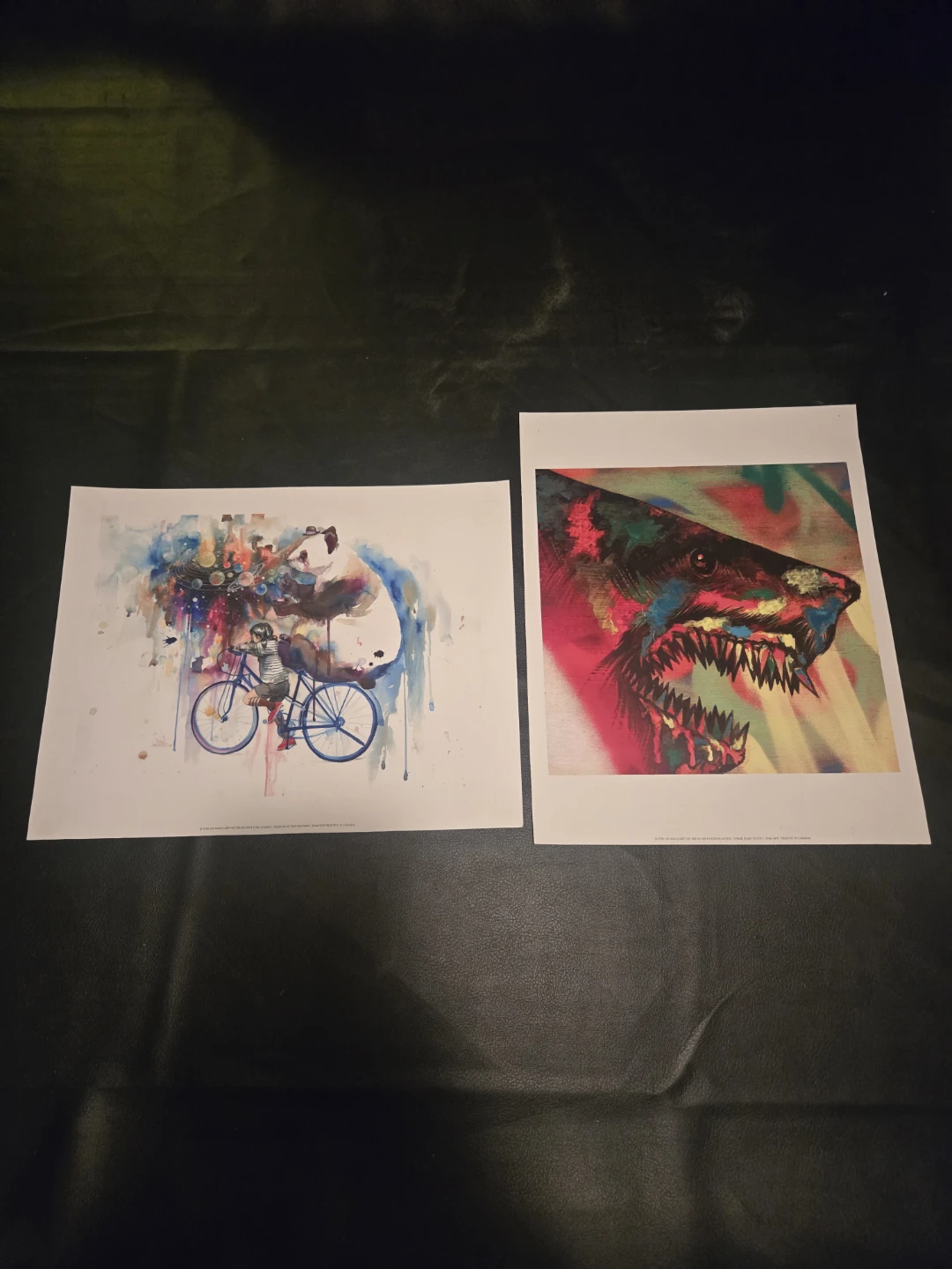 Two Art Prints: Panda on Bike & Shark