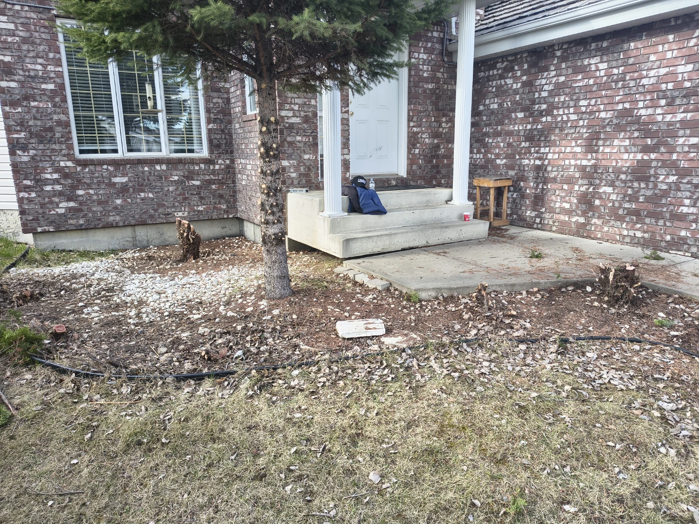 Tree Trimmings and Yard Debris - photo 3