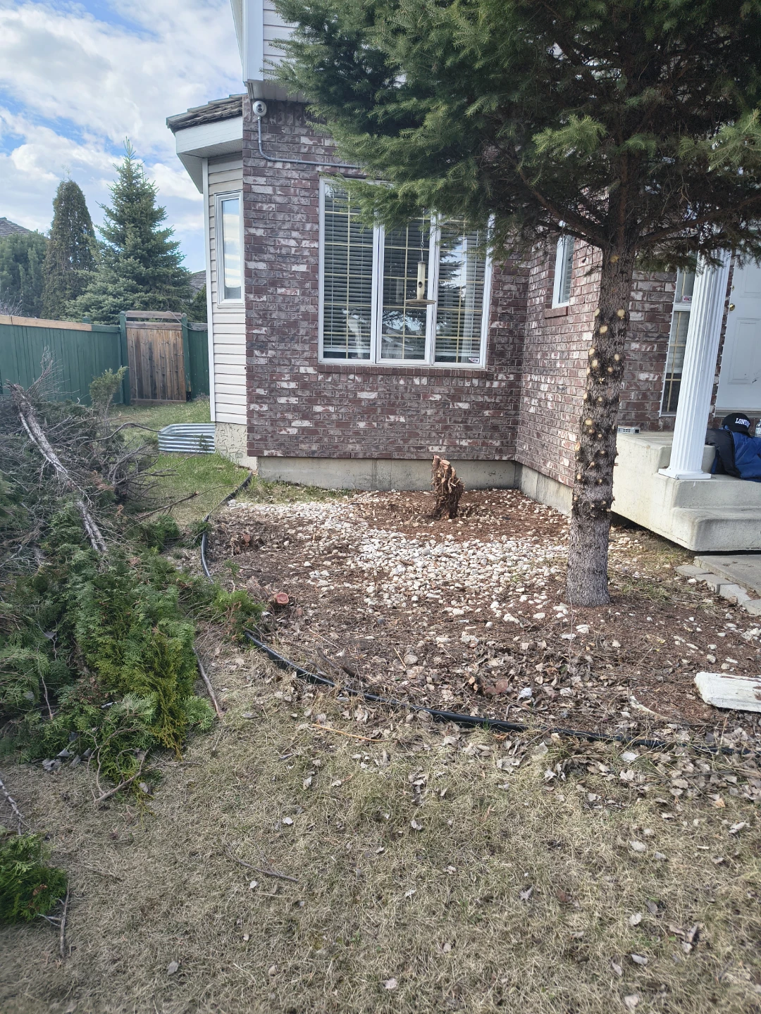 Tree Trimmings and Yard Debris - photo 4
