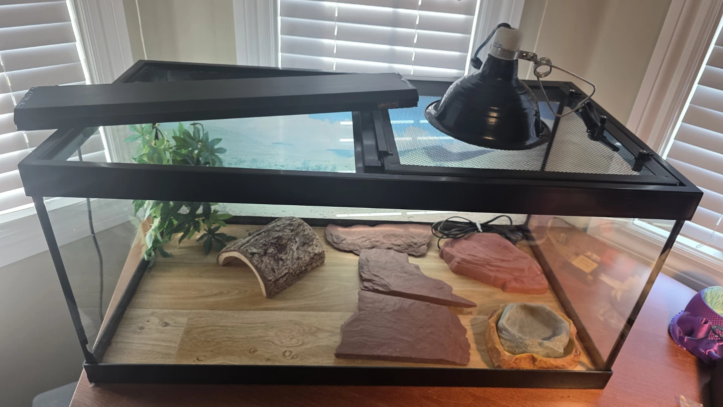 Bearded Dragon Full Setup – 40 Gallon Tank +Supplies
