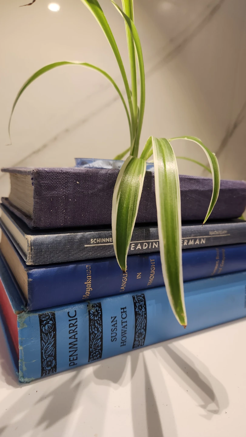 Shades of blue vintage books planter with plant - photo 2