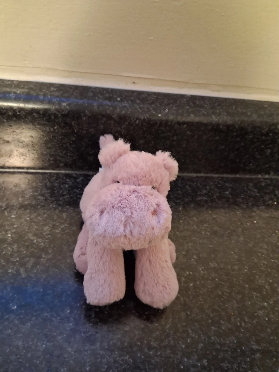 Jellycats - Tiny Size! - photo 4