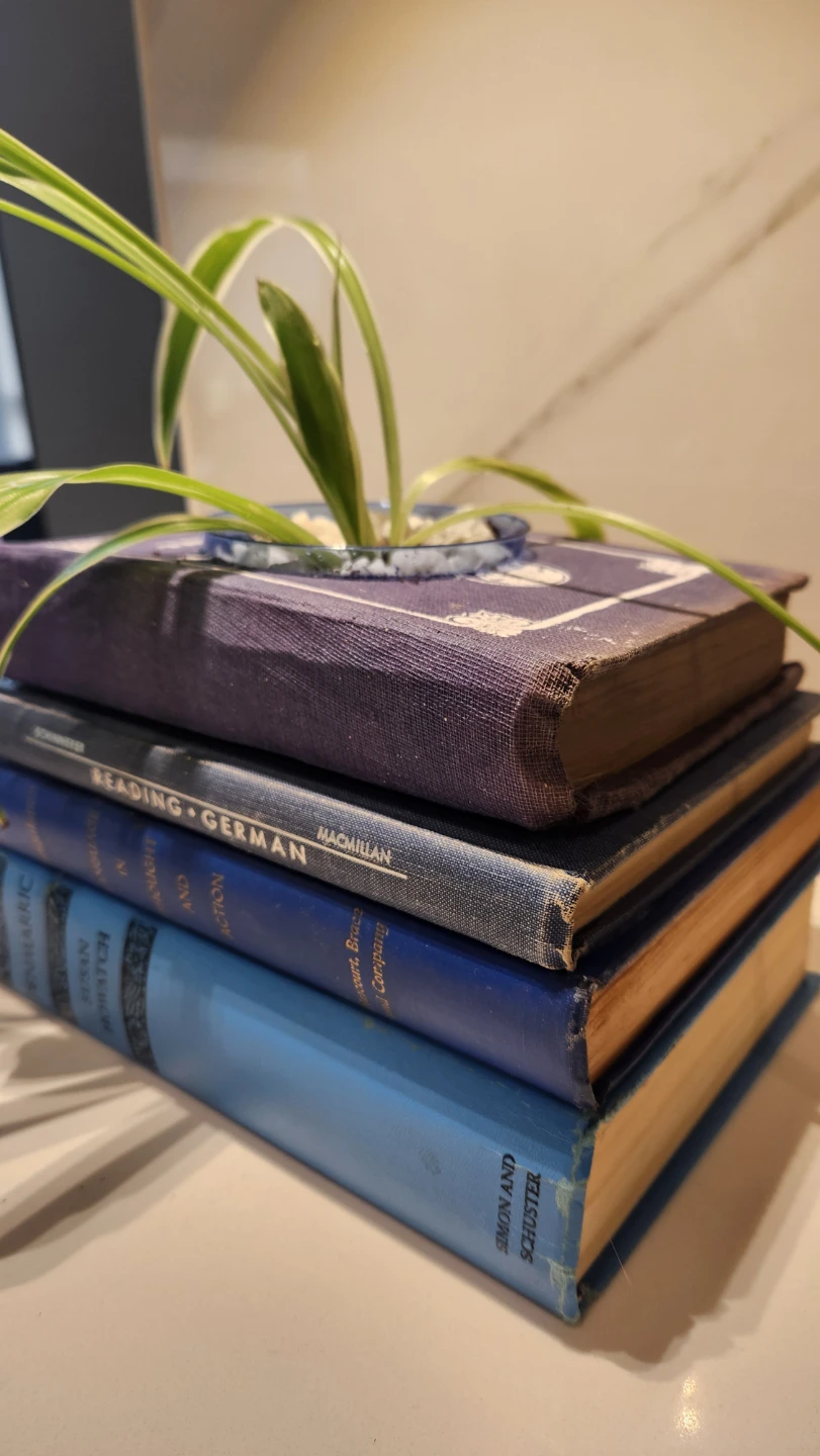 Shades of blue vintage books planter with plant - photo 3