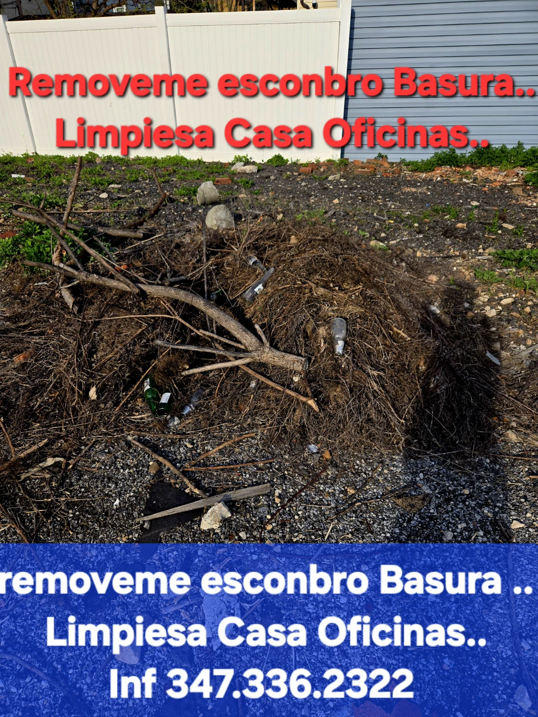 Limpiesa de Oficina  Apartamentos - photo 5