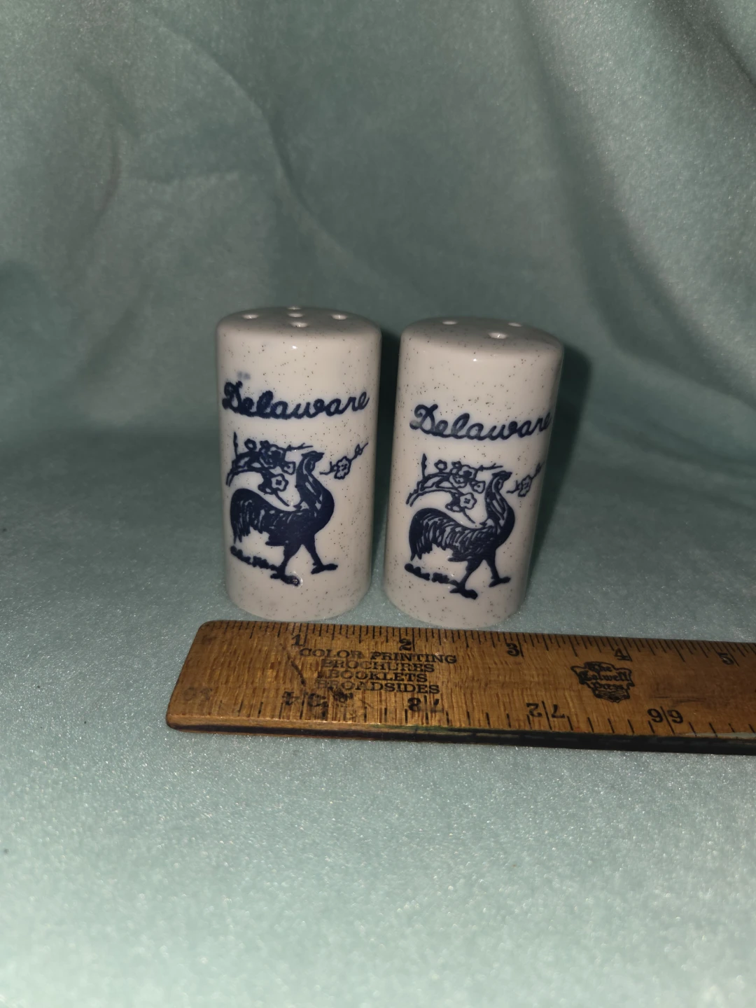 Delaware Salt and Pepper Shakers