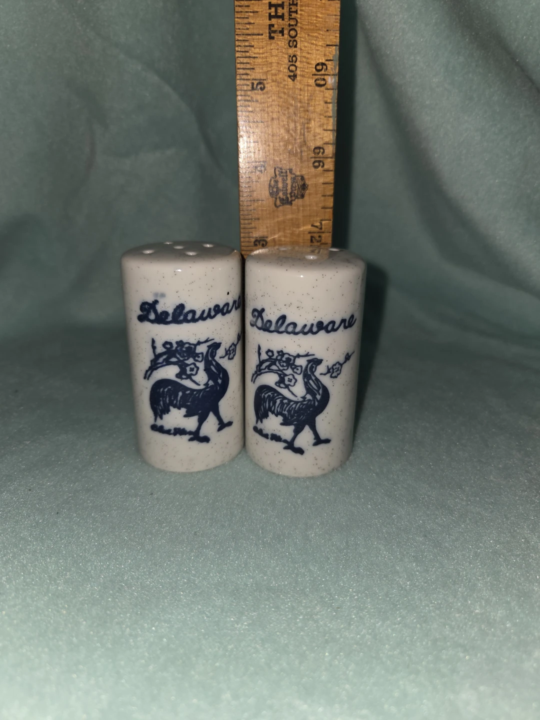 Delaware Salt and Pepper Shakers - photo 5