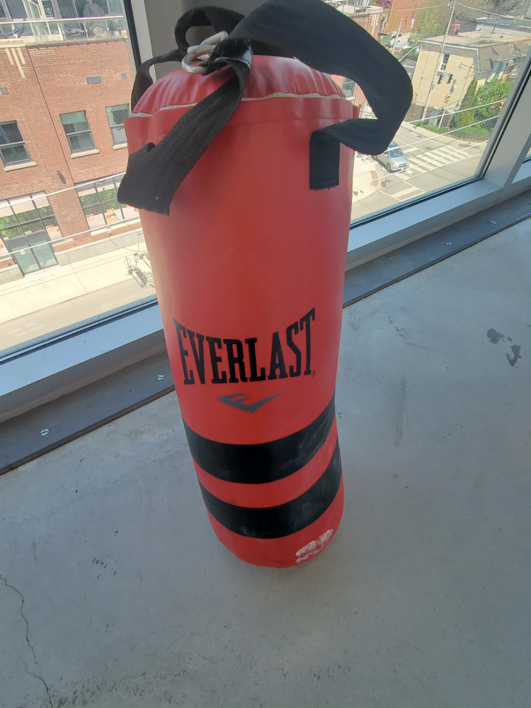 Everlast Punching Bag