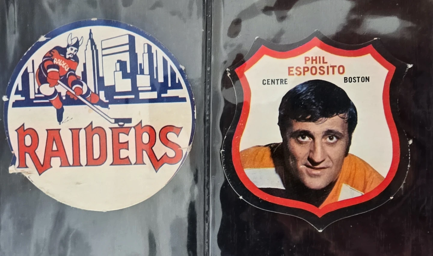 Vintage 1972/73 OPC Inserts (9) WHA Raiders (SP) Esposito