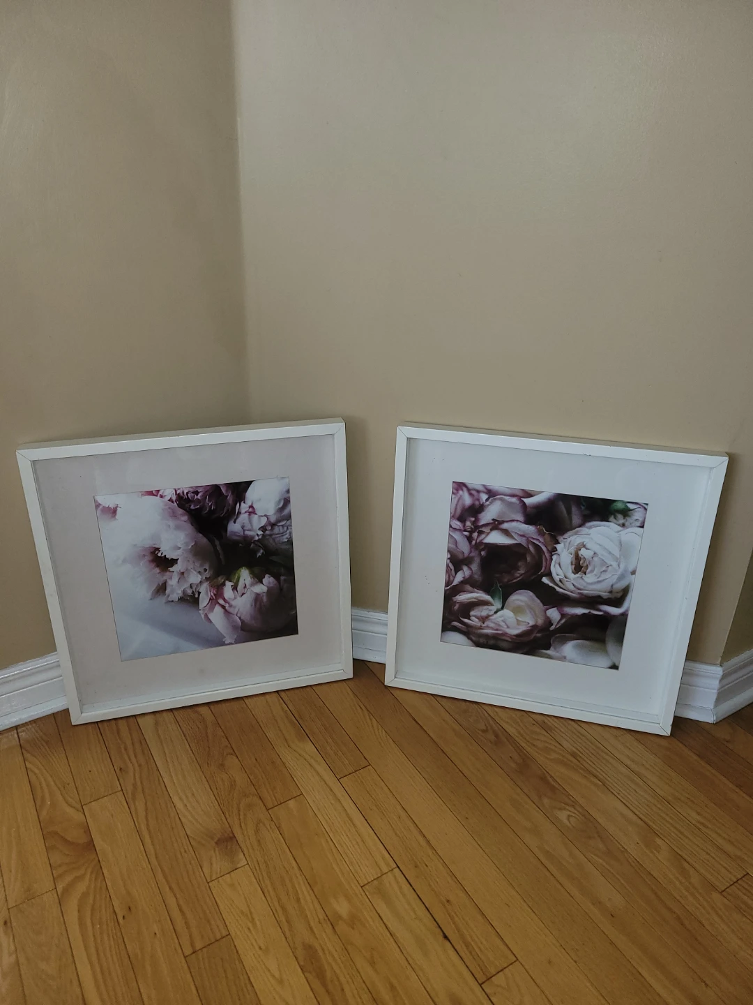 Framed Art Floral Prints 21"x21"x1" framed glass